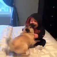 These two are the best of friends