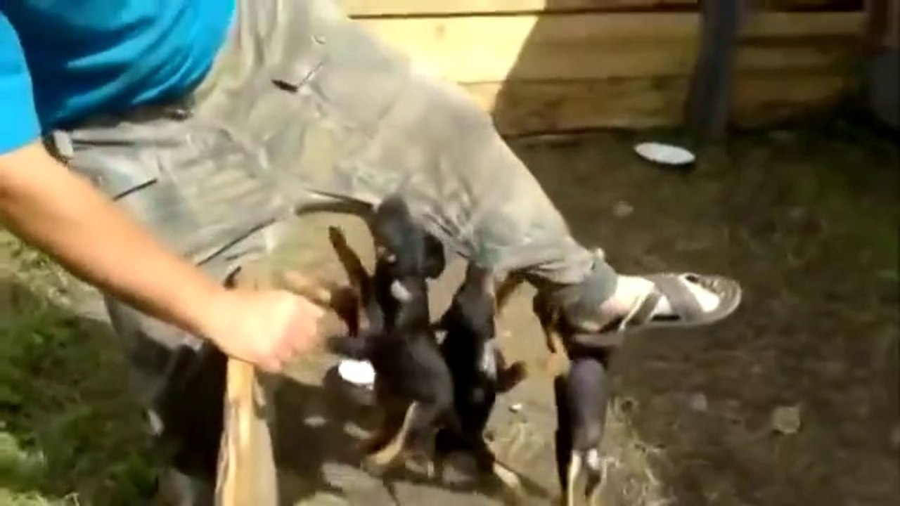 Заряд позитива!