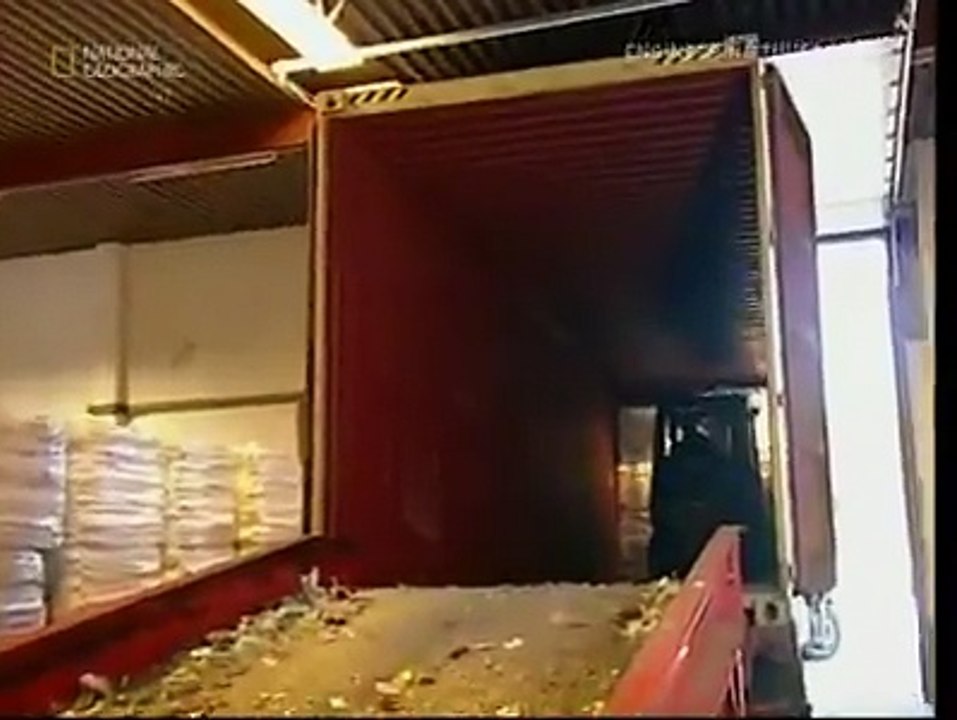 Plastic Bottle Recycling