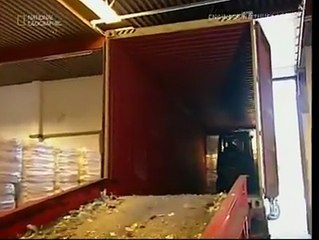 Plastic Bottle Recycling