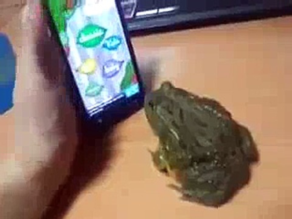 amazing new video