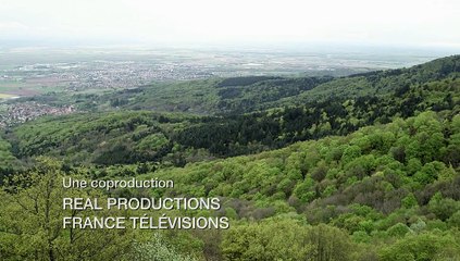 La Montagne Sacrée