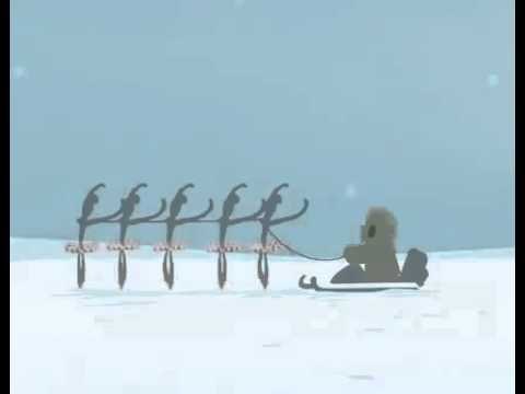 Вот что будет, если в сани запрячь балерин, а не хаски