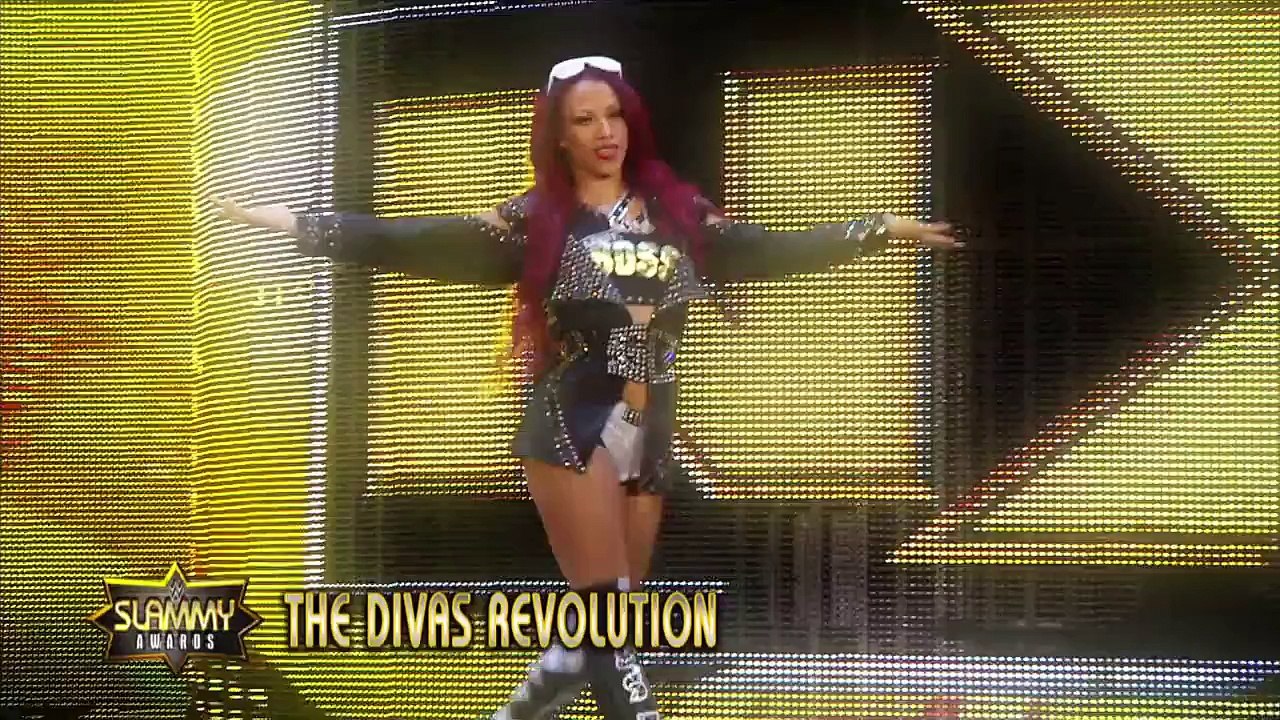 “This is Awesome” Moment of the Year- 2015 WWE Slammy Awards