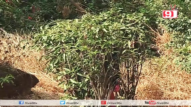 Nirbhay And Ishaani Escape From The Kidnappers | Meri Aashiqui Tumse Hi