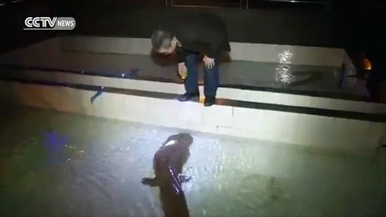 200-year-old Giant salamander found alive in China