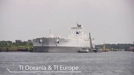 All The World's Largest Ships In Service