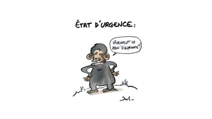 ENSEMBLE, POUR L’AVENIR DES GRANDS SINGES 2/2