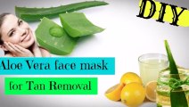 Aloe Vera face mask for tan removal