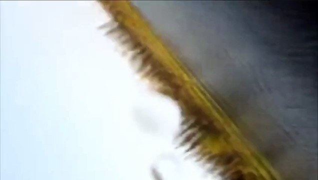 Рыбалка часть 23 Подводная съемка