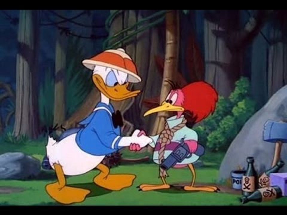 Donald Duck Cartoons Full Episodes - Kiwi's Big Adventure