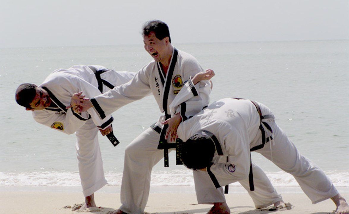 Lecciones de Hapkido