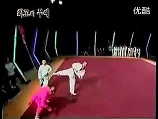 Monje Shaolin vs. Campeón de Taekwondo