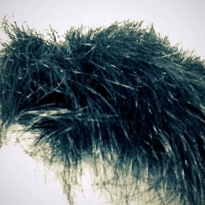 髪切った