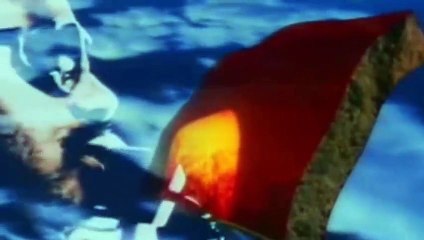 Stevie Wonder -  I Just Called To Say I Love You