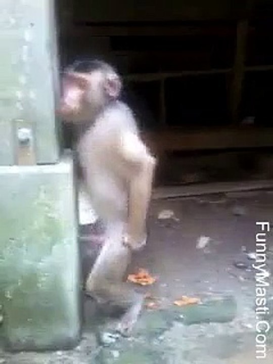 Koi To Maal Dila Do