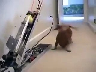 АХАХА   Вот так самого себя и забавлять приходится)))