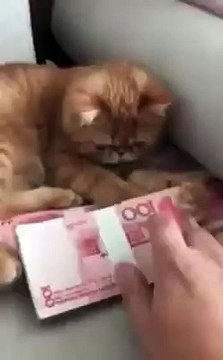 don,t touch its mine hahaha