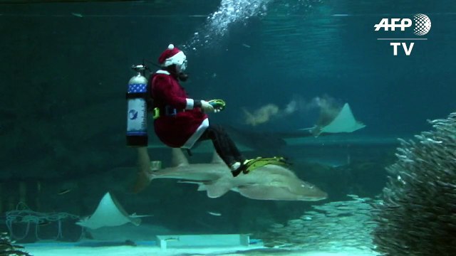 Scuba-diving Santa takes dip in Seoul aquarium