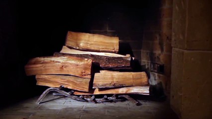 Fireplace For Your Home de retour sur Netflix