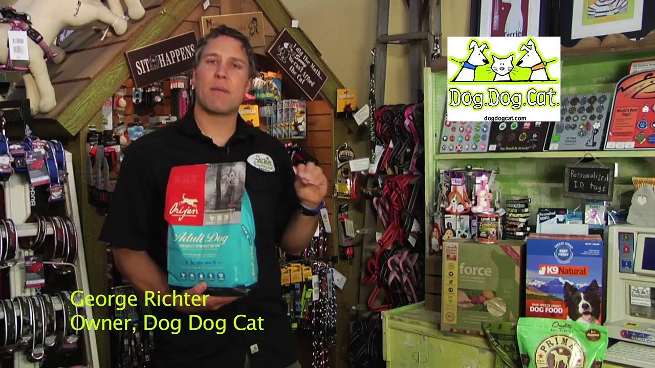 Dog Dog Cat distinguishing types of pet foods