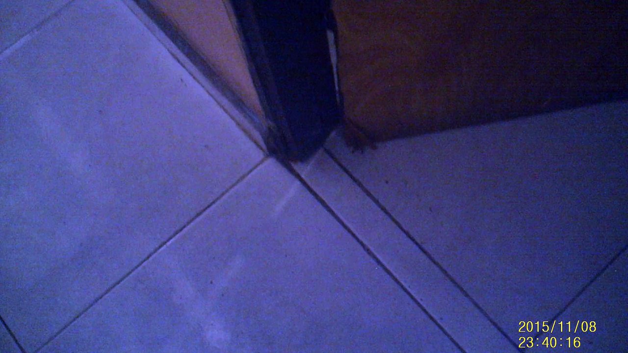 Daños de la puerta
