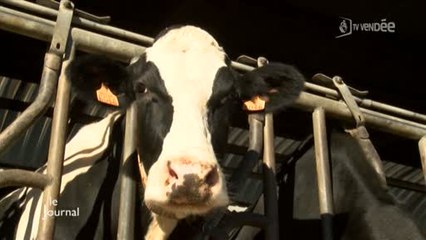 Une agriculture respectueuse de l'environnement (Vendée)