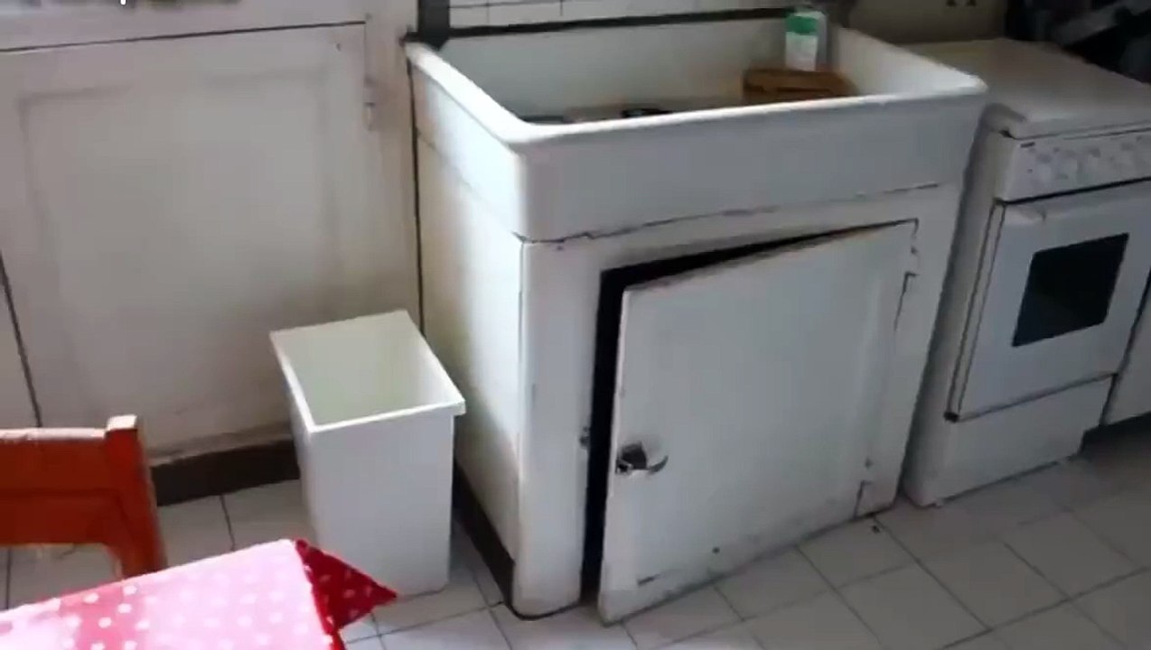 funny CAT