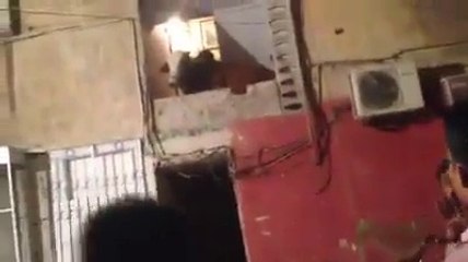 Qurbani Cow Run Away Nizam Tv