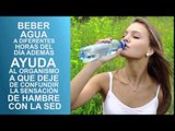 Beneficios de tomar agua