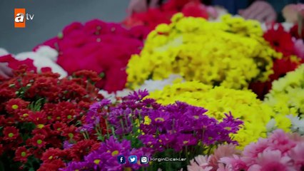 Kırgın Çiçekler 25.Bölüm - Sevdiğini çiçeğe boğan Toprak!