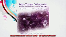 Heal Traumatic Stress NOW  No Open Wounds