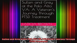 Sullen and Grey at the Palo Alto VA A Veterans Journey Through PTSD Treatment