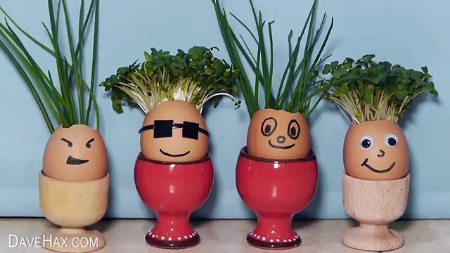 How to Make Eggshell Planters