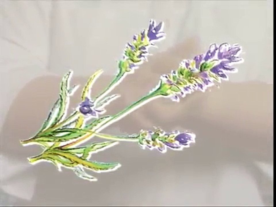 Apprendre à masser - relaxation