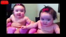 Babies Laughing Hysterically at Dogs Compilation
