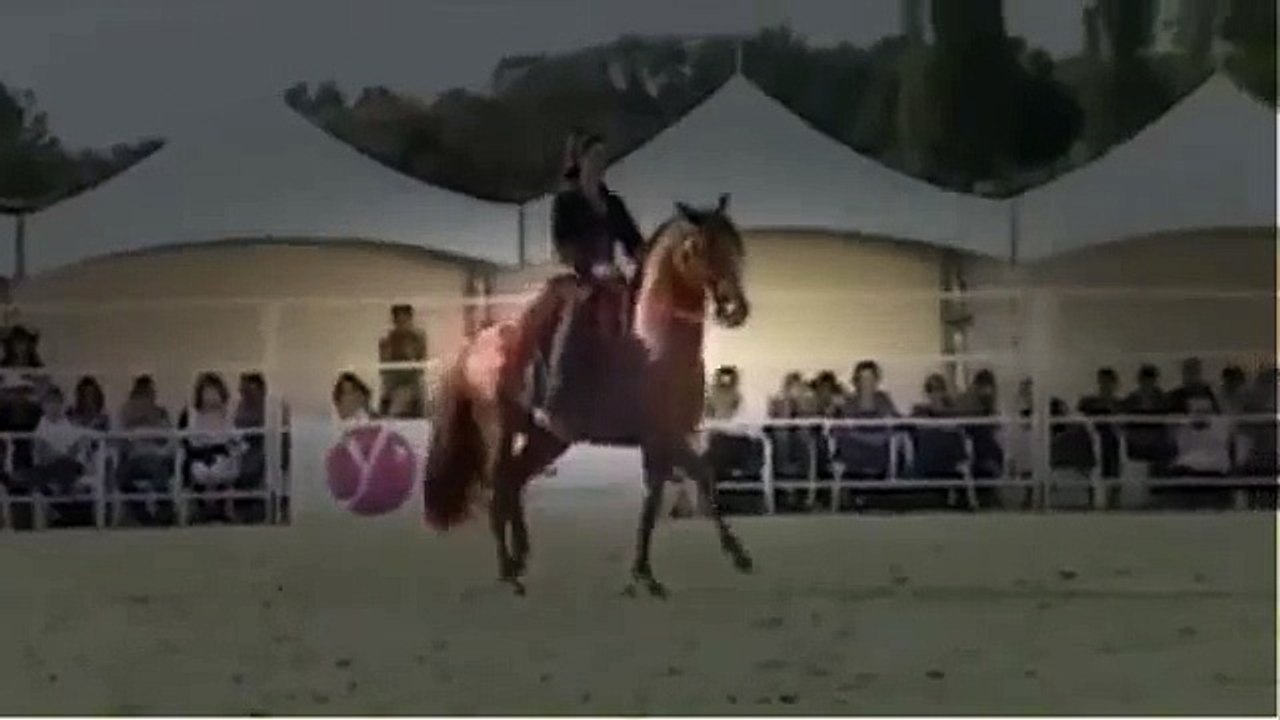 Seksi hayvan çiftleşme deli videolar - Komik video 2015 Part 114  Animal