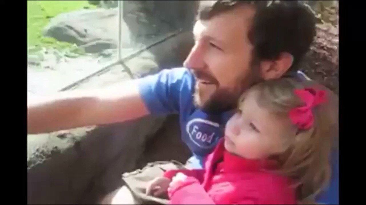 Prend ça en photo touriste de m*rde! Singe hilarant