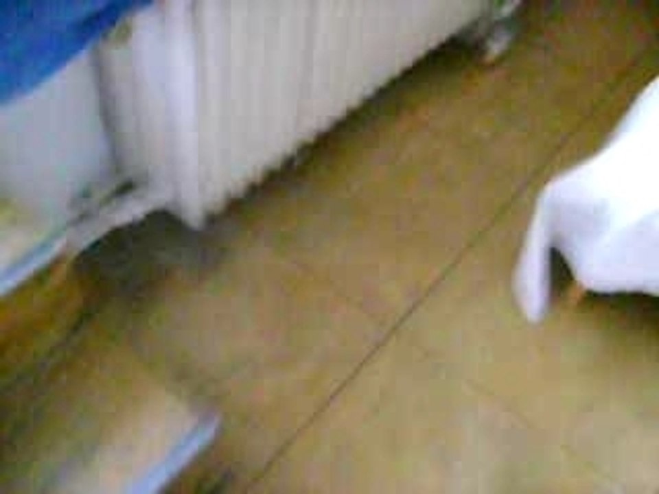 Video_chambre