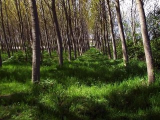 ERĞENE PINARBAŞI MAHALLESİ.