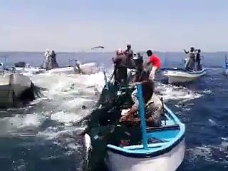 many fish in the sea,get many fish on the sea