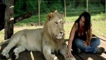 OMG!! What is she doing with Lion ????