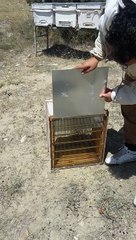 Çift ana çalıştırma aparatları 30.07.2015