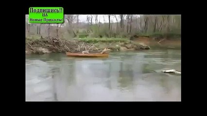 Пёс спасатель!))