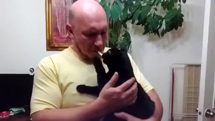 Прикол! Бросай курить! Ржачный кот!))