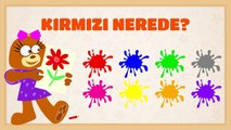 Renkleri Öğreniyoruz - Çocuklar İçin Eğitici Eğlenceli Türkçe Çizgi Film