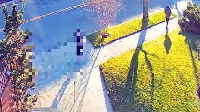 Queens Slashing Suspect, December 16, 2015