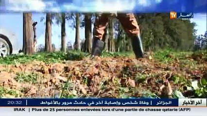 فلاحة  شبح الجفاف يهدد الموسم الفلاحي