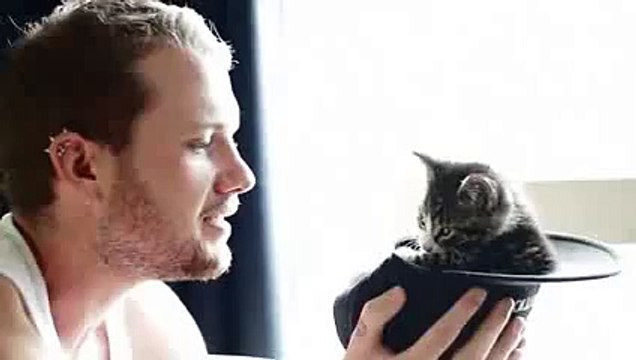 New 2016 Маленький забавный котенок!