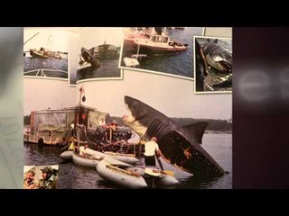 Descubra los actores de Hollywood que estuvieron a punto de rechazar el papel de sus vidas